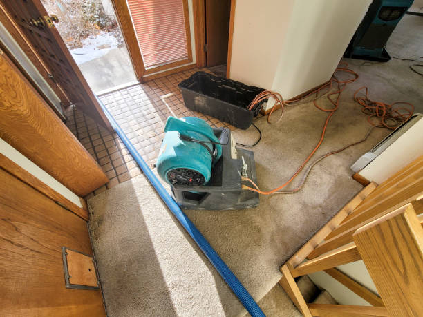 Best Plumbing Leak and Burst Pipe Cleanup in USA